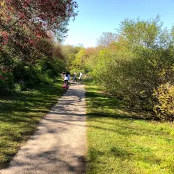 Massapequa Preserve Nature Center - Massapequa Park