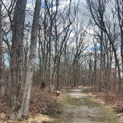 Bethpage State Park - Massapequa