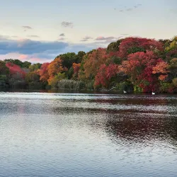 Massapequa Preserve Nature Center - Massapequa