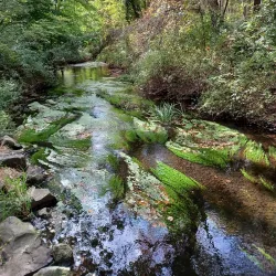 Massapequa Preserve Nature Center - Massapequa