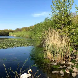 Massapequa Preserve Nature Center - Massapequa