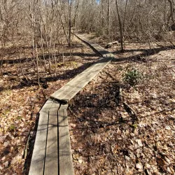 Massapequa Preserve Nature Center - Massapequa