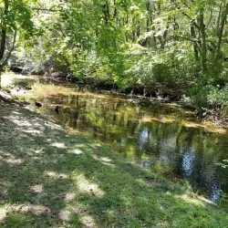 Massapequa Preserve - Massapequa