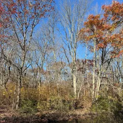 Massapequa Preserve - Massapequa