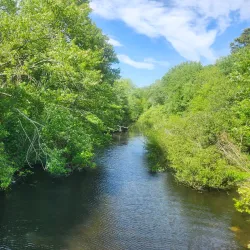 Massapequa Preserve - Massapequa