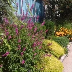 Massapequa Public Library - Massapequa