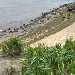 Tanner Park - Massapequa