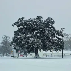 Foster Memorial Park - Middletown