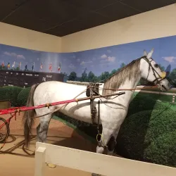 Harness Racing Museum & Hall of Fame - Middletown