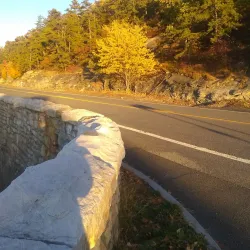 Middletown Green - Middletown