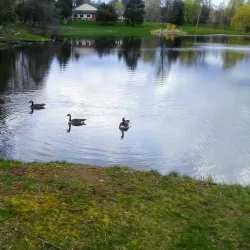 Middletown Green - Middletown