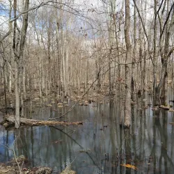 Middletown Green - Middletown