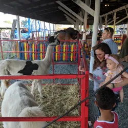 Orange County Fairgrounds - Middletown