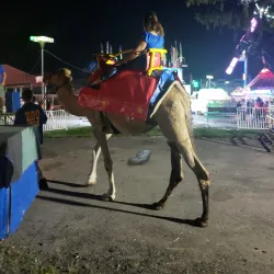 Orange County Fairgrounds - Middletown