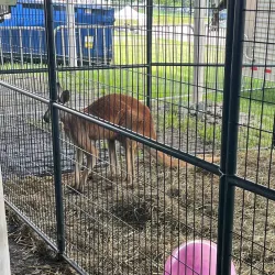 Orange County Fairgrounds - Middletown