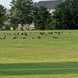 Silver Lake Park - Middletown
