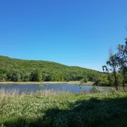 Wallkill River National Wildlife Refuge - Middletown