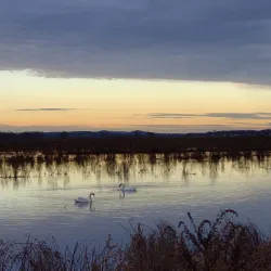 Wallkill River National Wildlife Refuge - Middletown