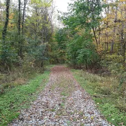 Wallkill River National Wildlife Refuge - Middletown