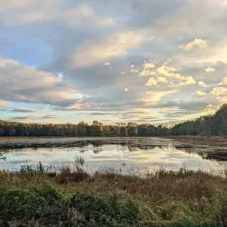 Wallkill River National Wildlife Refuge - Middletown