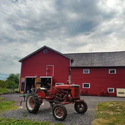 New City Farmers Market - New City