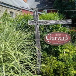 Duzine Golf Club - New Paltz