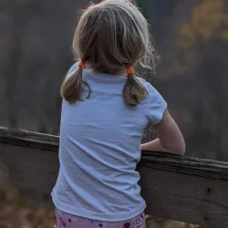 Gildersleeve Mountain Trail - New Paltz