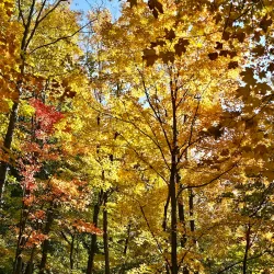 Gildersleeve Mountain Trail - New Paltz