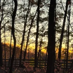 Gildersleeve Mountain Trail - New Paltz