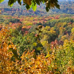 Gildersleeve Mountain Trail - New Paltz
