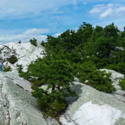 Mohonk Preserve - New Paltz