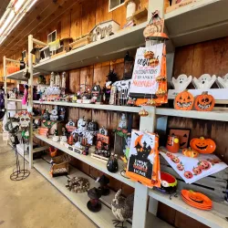 New Paltz Farmers Market - New Paltz