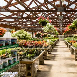 New Paltz Farmers Market - New Paltz