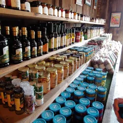 New Paltz Farmers Market - New Paltz