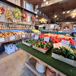 New Paltz Farmers Market - New Paltz