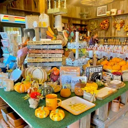 New Paltz Farmers Market - New Paltz