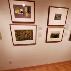 Samuel Dorsky Museum of Art - New Paltz