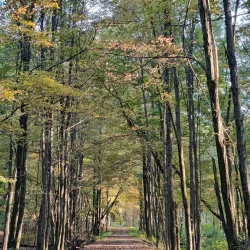 Wallkill Valley Rail Trail - New Paltz
