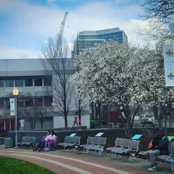 New Rochelle Public Library - New Rochelle