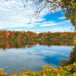 Twin Lakes Park - New Rochelle
