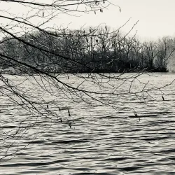 Twin Lakes Park - New Rochelle