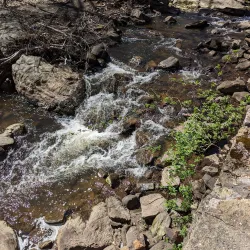Twin Lakes Park - New Rochelle