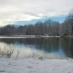 Twin Lakes Park - New Rochelle