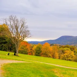 Storm King Art Center - New Windsor