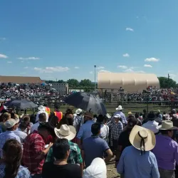 Delano-Hitch Recreation Center - Newburgh