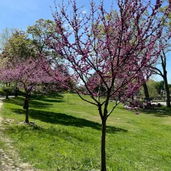 Downing Park - Newburgh