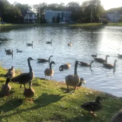 Downing Park - Newburgh