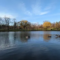 Downing Park - Newburgh