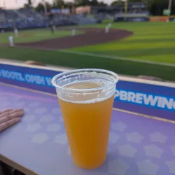 Hudson Valley Renegades Baseball - Newburgh