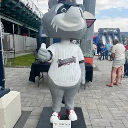 Hudson Valley Renegades Baseball - Newburgh